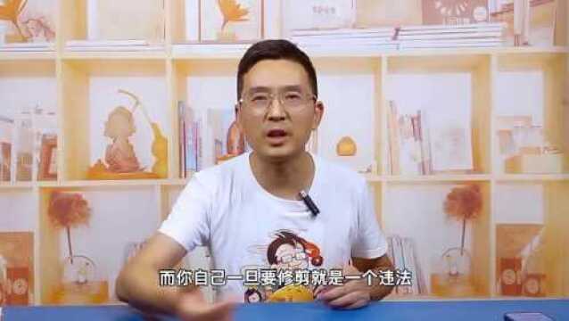 男子修剪自己买的香樟树,却被罚款14.42万元!到底是为什么?