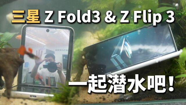 一起潜水!三星Z Fold3 & Z Flip3折叠屏新机上手体验!【时代玩家】