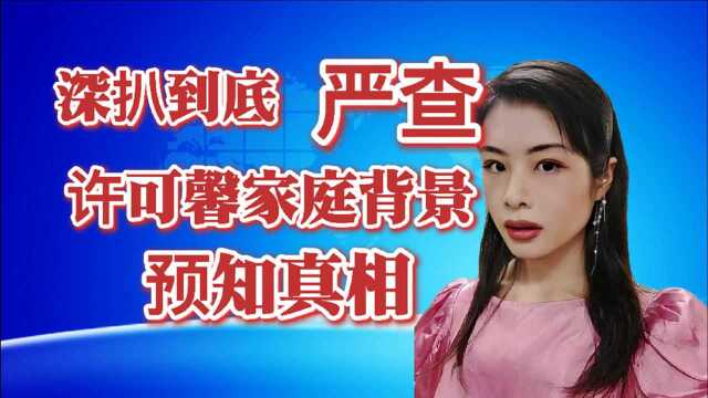 深扒到底,严查!许可馨家庭背景与真相?