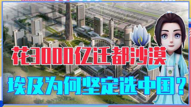 花3000亿迁都沙漠,美德老牌基建能手抢着干,埃及为何坚定选中国?