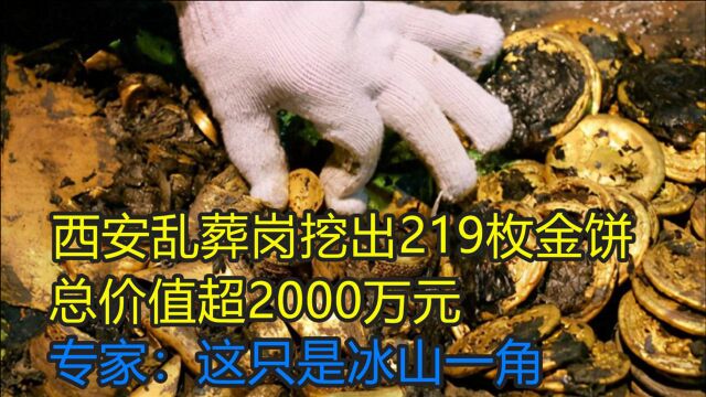 西安出土219枚金饼,总价值超2000万元,专家却说这只是冰山一角