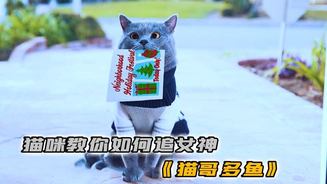 猫咪开派对发请帖,偶遇幼儿园暗恋女神,便开始疯狂追求《猫哥多鱼》#电影HOT短视频大赛 第二阶段#