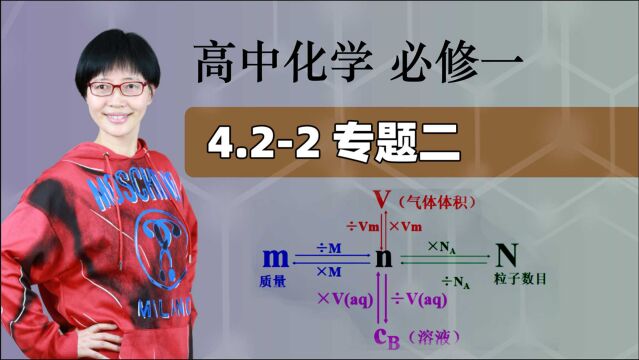 【专题二】高中化学 必修一 第四章 物质结构 元素周期律 4.22