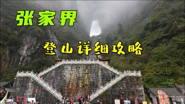 张家界旅游超详细攻略,各种登山路线和吃饭住宿,建议收藏