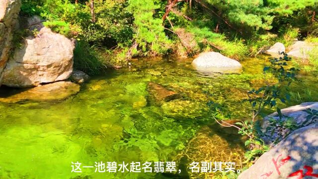 昆嵛山无染寺的山水,可以用惊艳来形容.山东唯一野生动物栖息地