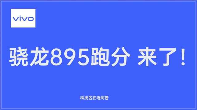 vivo先声夺人,骁龙895来了!