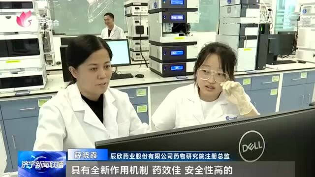 辰欣药业:新型抗病毒RNA聚合酶抑制剂国家一类新药研发项目