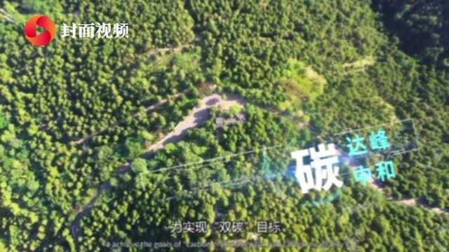 首届中国数字碳中和高峰论坛将于9月7日在成都举行