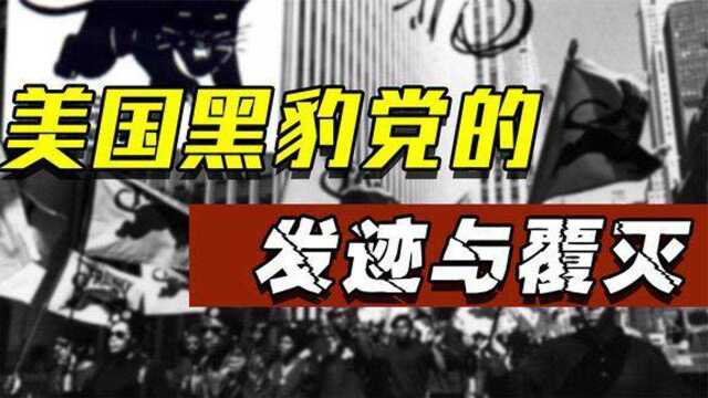 犯罪,野蛮,智力低下黑豹党让你看看什么叫“黑人之光”