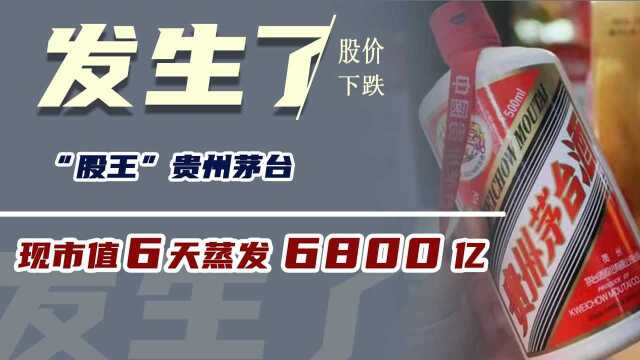 “股王”贵州茅台,现市值6天蒸发6800亿,到底发生了什么?