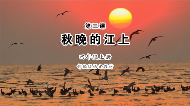 《秋晚的江上》小学语文四年级上册课文朗读