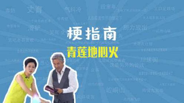 青莲地心火是什么梗【梗指南】