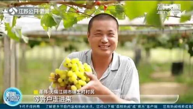 无锡江阴璜土村:互联网+农业 甜蜜“爆款”酿出幸福生活