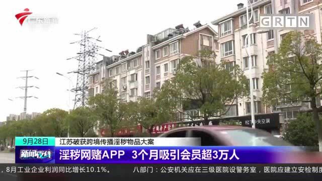 江苏破获跨境传播淫秽物品大案 淫秽网赌APP 3个月吸引会员