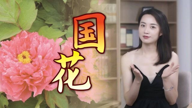 中国的国花是什么?专家提了4个条件,哪种花更有资格呢?