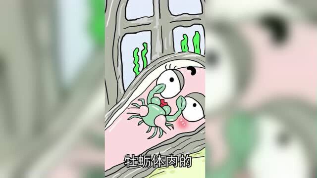 如果你今年认识了生蚝先生,下一年可能就是生蚝女士了