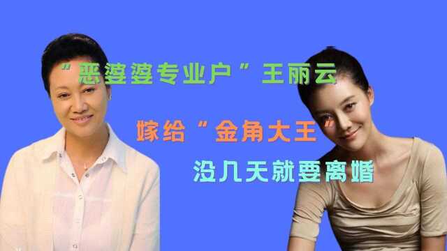 “恶婆婆专业户”王丽云,和丈夫离婚后反而更亲密,为何不复婚!