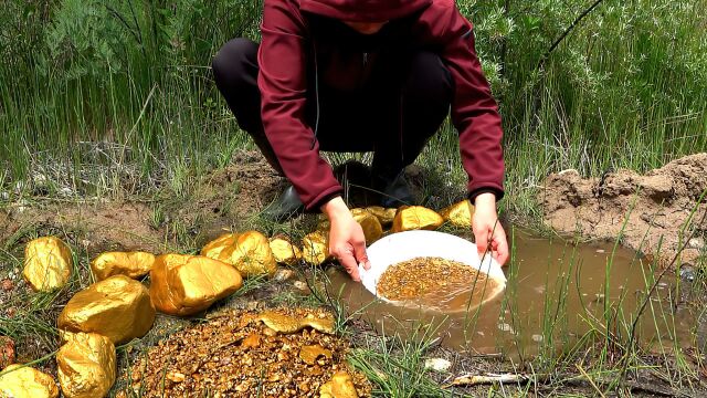 这里的黄金实在太多了,根本不用动手挖,半天就能捡200斤