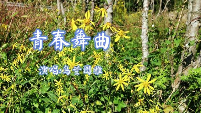 《青春舞曲》美好的风格,独特神韵!永恒的旋律,金典传唱.