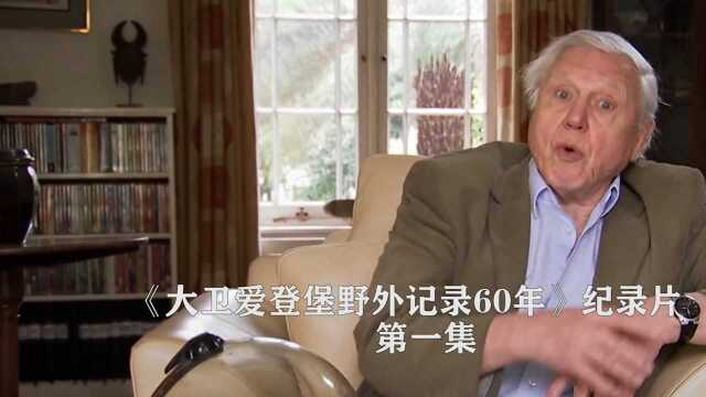 《大卫爱登堡野外记录60年》1,为了拍摄纪录片,爱登堡站在了蝙蝠排泄物上,忍着恶臭完成拍摄,纪录片