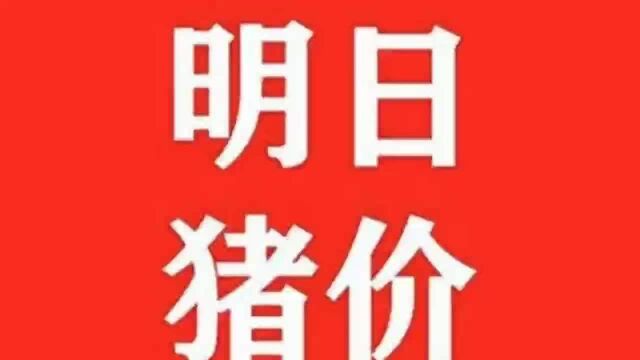 全面大涨!2021.11.5明日猪价早知道