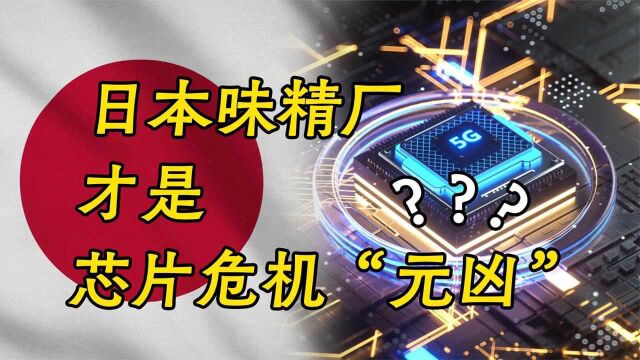 这次中国如何化险为夷?全球芯片危机,“元凶”竟是日本味精厂?