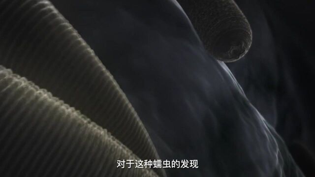 纪录片《国家地理纪录片专区》:恶魔蠕虫是什么?别名居然是魔鬼!