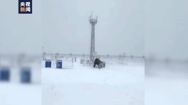 风雪中的气象人这样测量雪深、观测冻土……