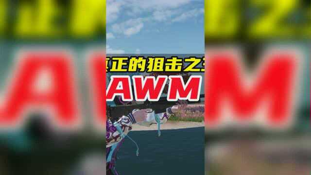 AWM真的太强了吧,一枪一个