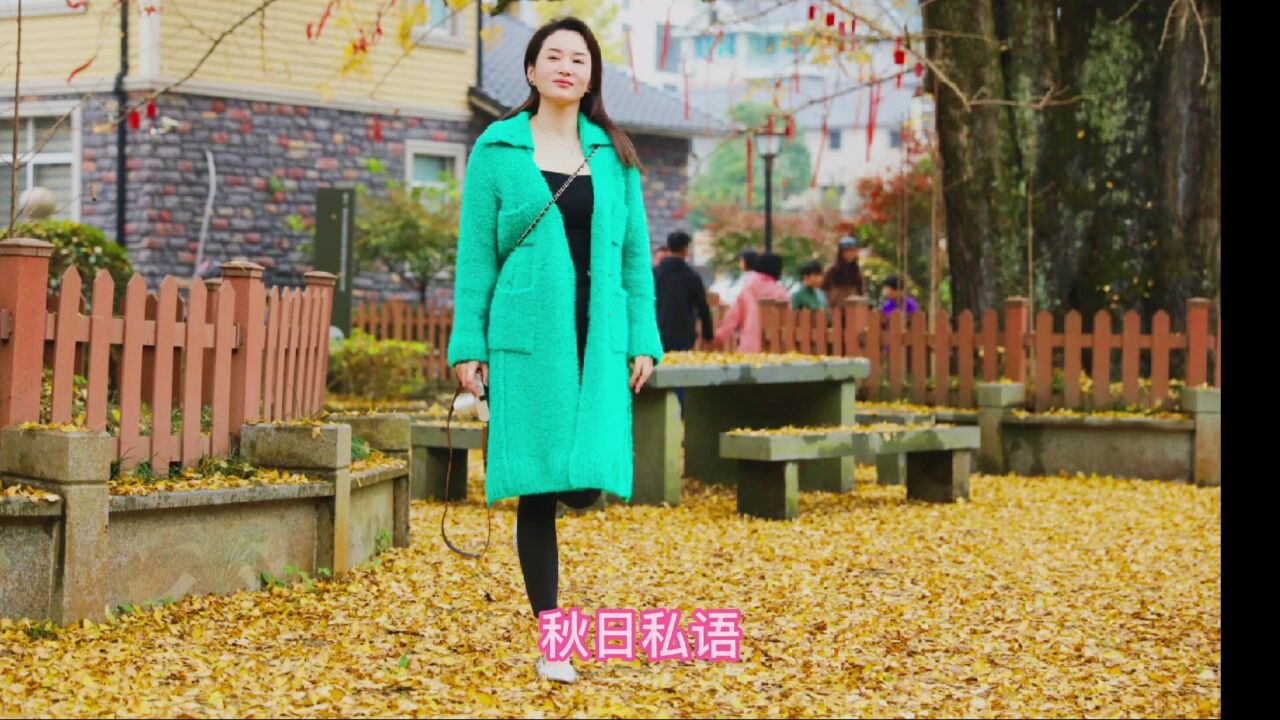 千年银杏兄弟,号称江南银杏王,果然不同凡响