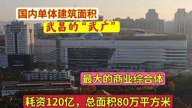 武汉第二个武广?国内在建最大商业综合体武商梦时代要来了!震撼