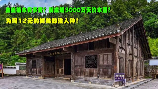 金丝楠木有多贵?制成超3000万天价木屋?为何12元的树苗却没人种?