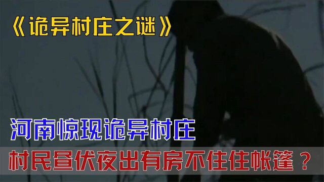 河南诡异村庄:村民昼伏夜出有房不住住帐篷?专家立刻请武警保护