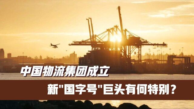 中国物流集团成立,新“国字号”巨头有何特别?