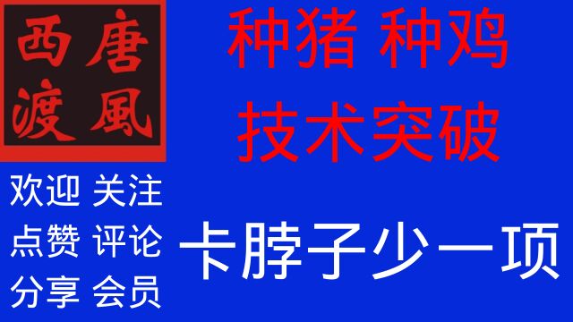 中国种猪,种鸡先后获得重大突破,意义重大.