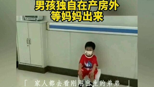 孩子自有的责任感 值得我们学习和传递