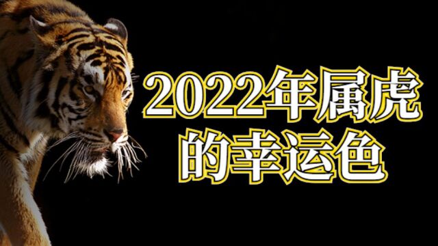 2022年属虎人穿什么颜色最旺 幸运色提升财运走势