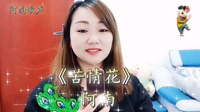 阿南带来一首《苦情花》旋律优美动听,一起来哼吧!