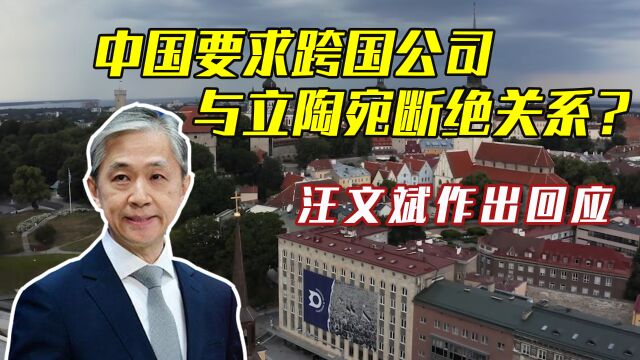 风声鹤唳?中国要求跨国公司与立陶宛断绝关系?汪文斌作出回应