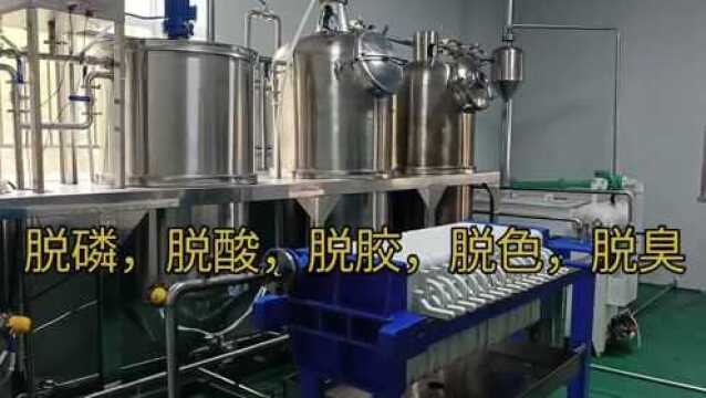 食用油生产线设备 一级山茶油加工设备 核桃榨油设备 振兴乡村项目 花生油菜籽油精炼设备 