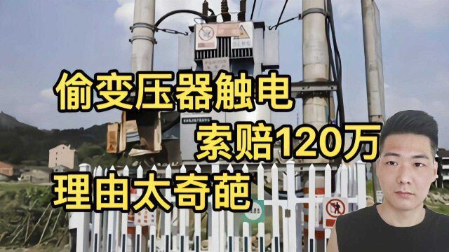 盗贼偷变压器被电死,家属向电网公司索赔120万,法院判决真解气