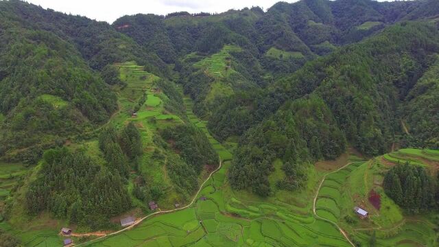 此山山脉端正雄健,格局完美,这样的宝山太难找了