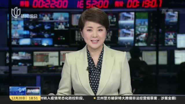 正式告别“筹码”时代 上海轮渡加速数字化转型