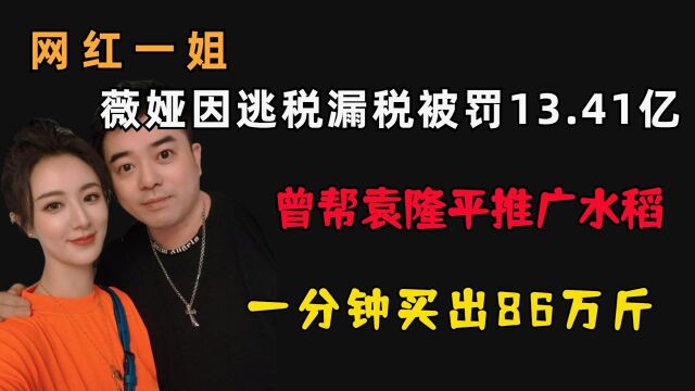 薇娅因逃税漏税被罚13.41亿,曾帮袁隆平推广水稻,一分钟买86万斤!