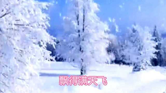 河北省邢台市2021年第一场雪,飘飘洒洒很美丽