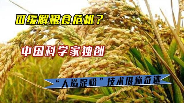 可缓解粮食危机?中国科学家独创,“人造淀粉”技术堪称奇迹