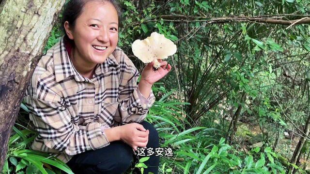 这段时间的野生木耳,野生核桃菌真是吃安逸了