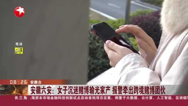 安徽六安:女子沉迷赌博输光家产 报警牵出跨境赌博团伙