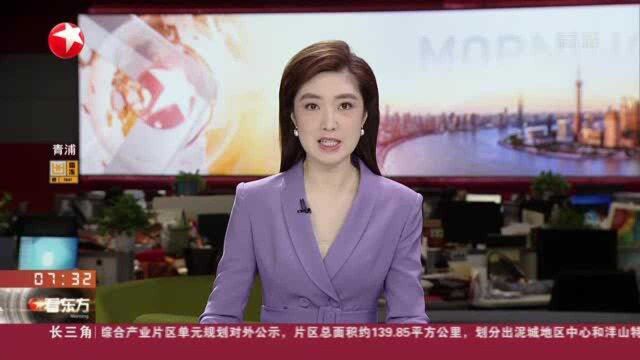 上海:展开出租行业专项整治 网约车非法营运溯源平台