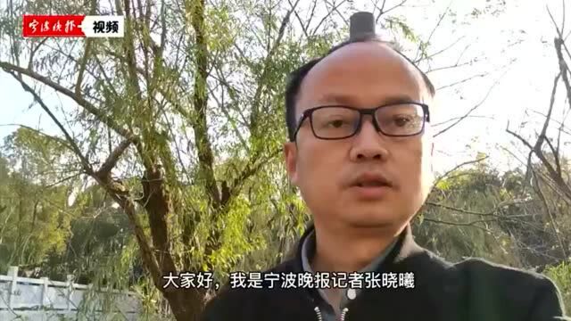 瞬间破防!丈夫走前特意叮嘱要好好做的那个“工疗车间”,治愈着他们,也治愈着她